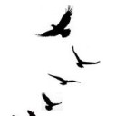 สมาชิกหมายเลข 2450589