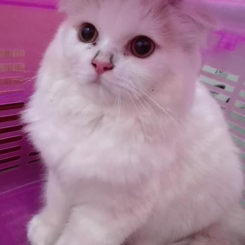 สมาชิกหมายเลข 3817697