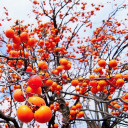 สมาชิกหมายเลข 4653063