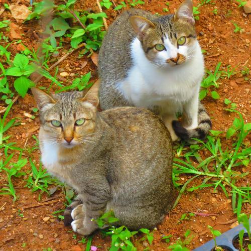 สมาชิกหมายเลข 3322079