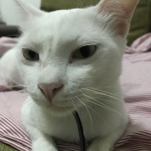 สมาชิกหมายเลข 5015010