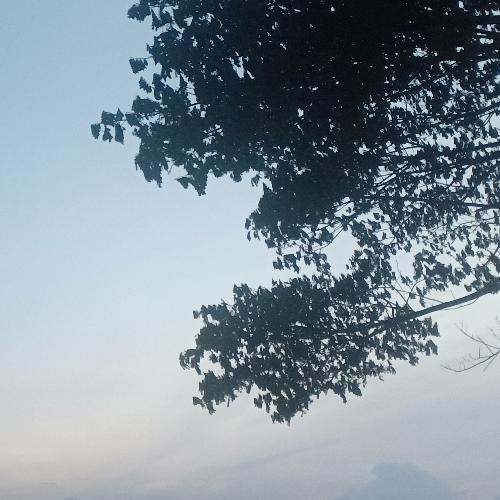 สมาชิกหมายเลข 5408570