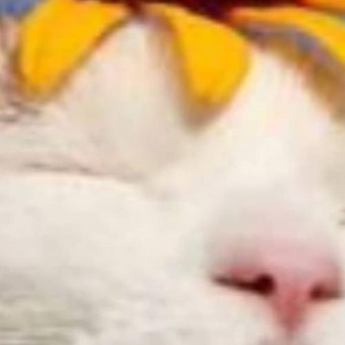 สมาชิกหมายเลข 4491010