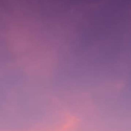 สมาชิกหมายเลข 5917182