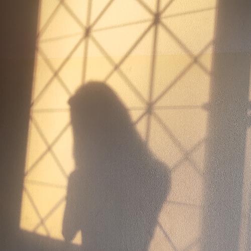 สมาชิกหมายเลข 7233052