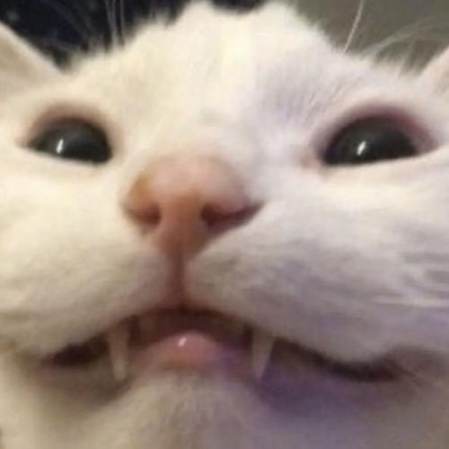 สมาชิกหมายเลข 5803768