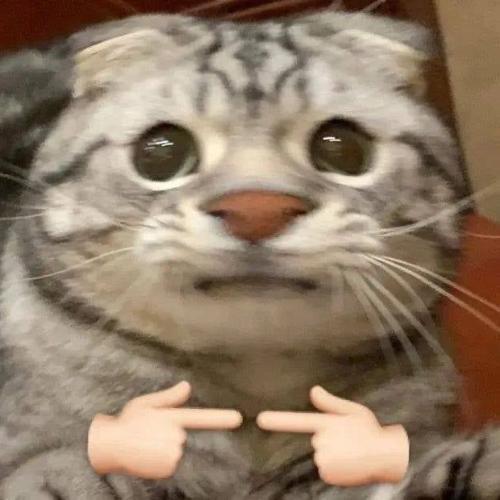 สมาชิกหมายเลข 7562158