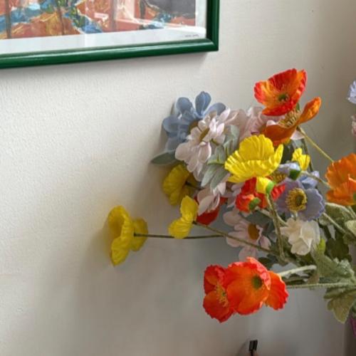 สมาชิกหมายเลข 8047304