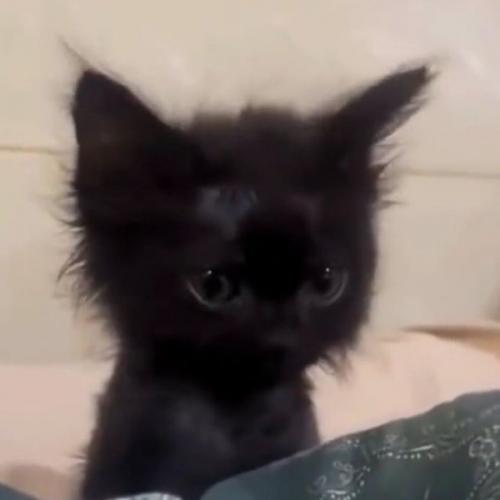 สมาชิกหมายเลข 7944783