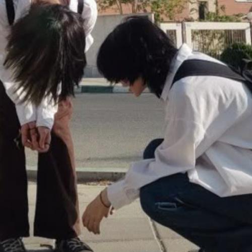 สมาชิกหมายเลข 9069170