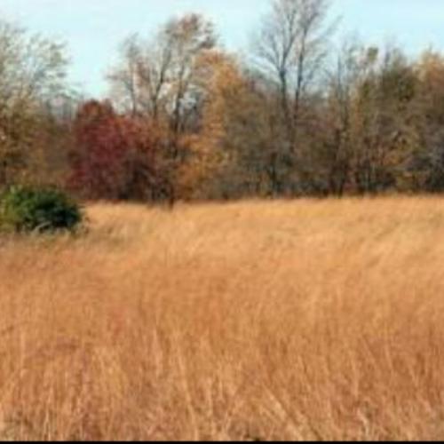 สมาชิกหมายเลข 4229856