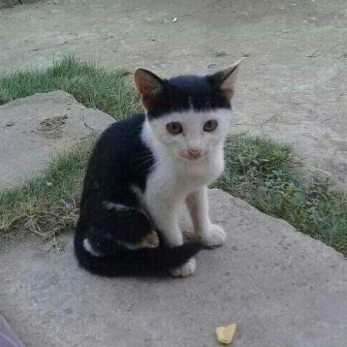 สมาชิกหมายเลข 1580751