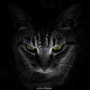 สมาชิกหมายเลข 3325383