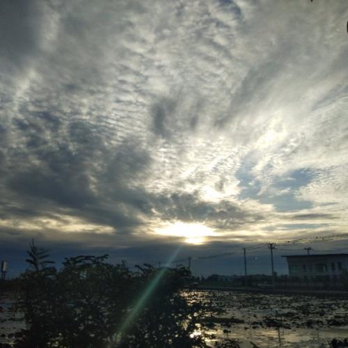 สมาชิกหมายเลข 5917231