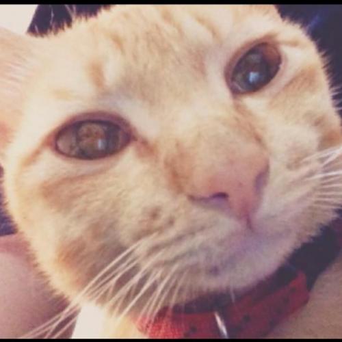 สมาชิกหมายเลข 5917344