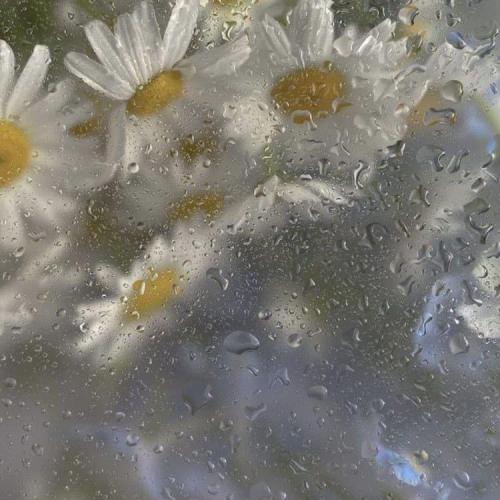 สมาชิกหมายเลข 7849921