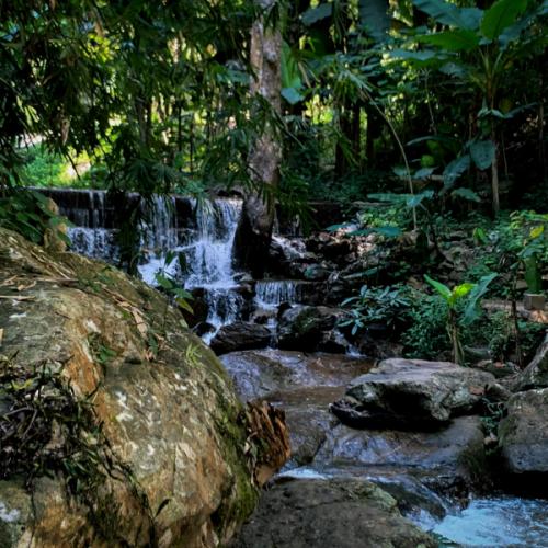 คนธรรมดาที่ไม่สมบูรณ์แบบ