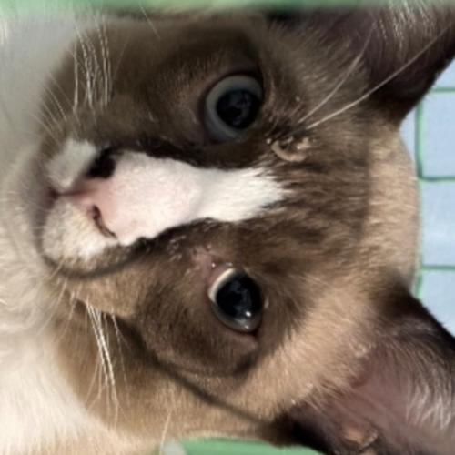 สมาชิกหมายเลข 6744194