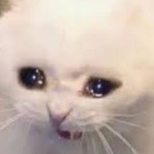 สมาชิกหมายเลข 8595760