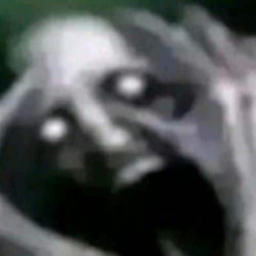 สมาชิกหมายเลข 8711660