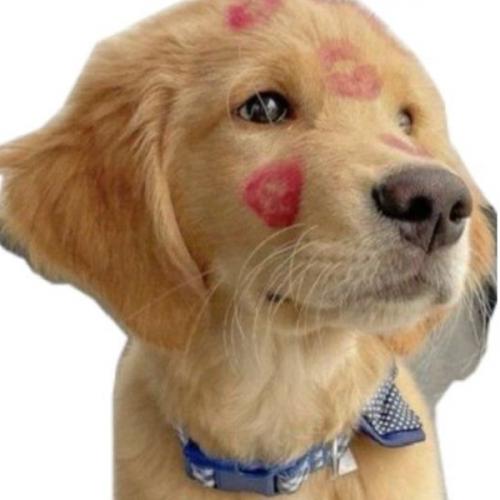 สมาชิกหมายเลข 9070382