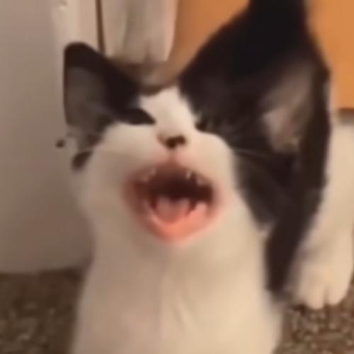 สมาชิกหมายเลข 9070527