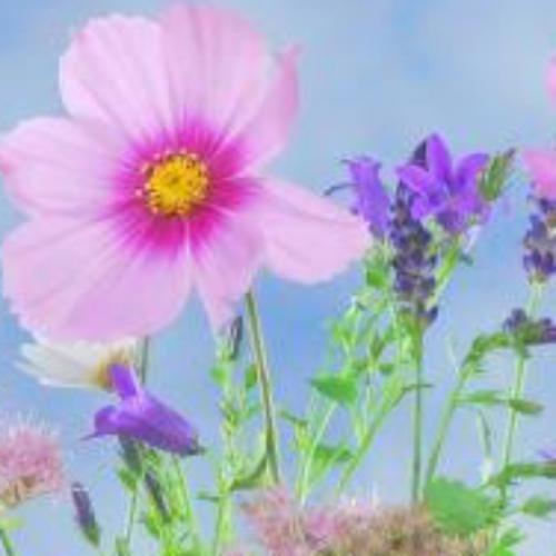 สมาชิกหมายเลข 9070578