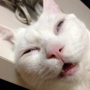 สมาชิกหมายเลข 3592477