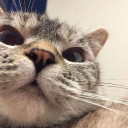 สมาชิกหมายเลข 4653881