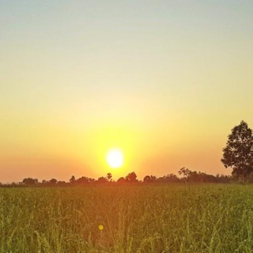 หนุ่มเมืองแปะ