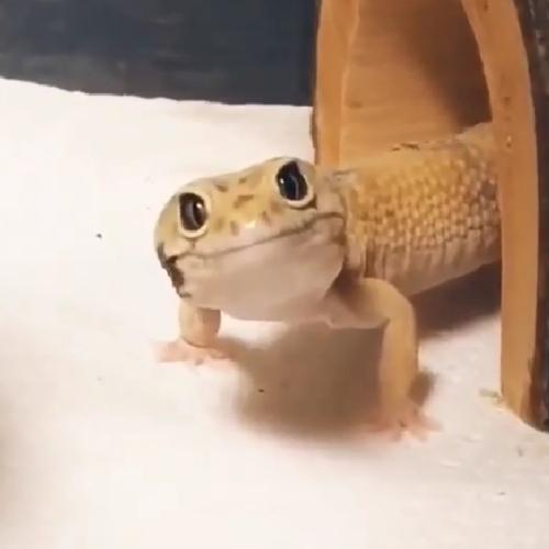 สมาชิกหมายเลข 5916296