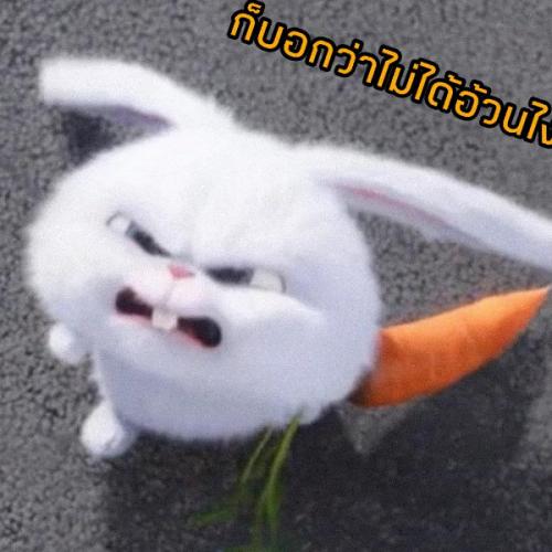 สมาชิกหมายเลข 5641110