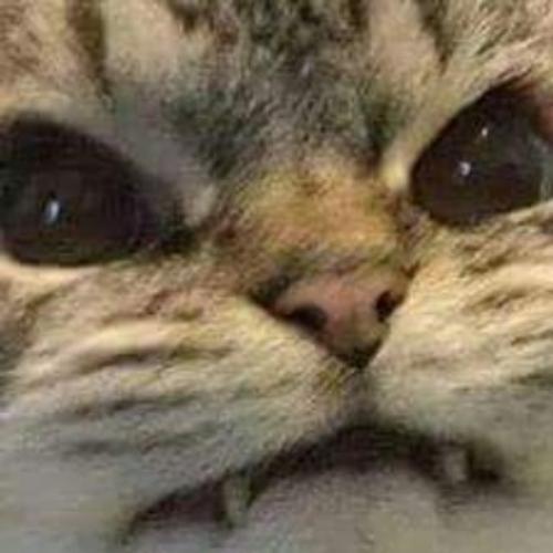 สมาชิกหมายเลข 6521028