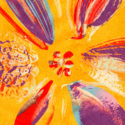 สมาชิกหมายเลข 3537614