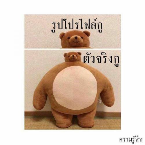 สมาชิกหมายเลข 2119567