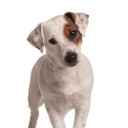 สมาชิกหมายเลข 3414285