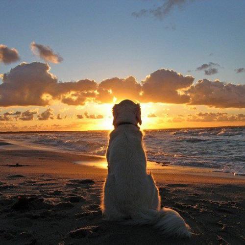 สมาชิกหมายเลข 4653986