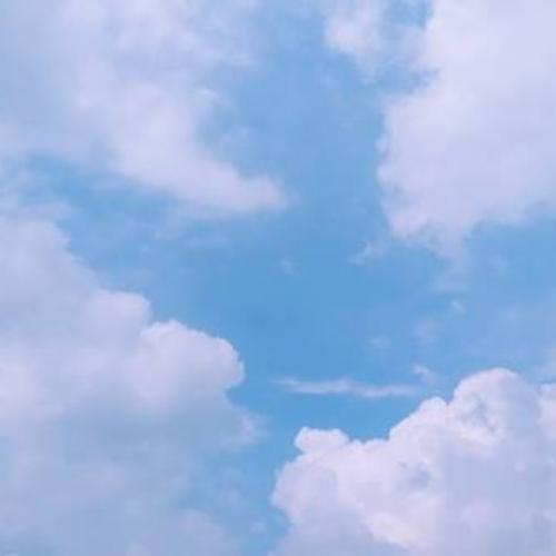 สมาชิกหมายเลข 4653994