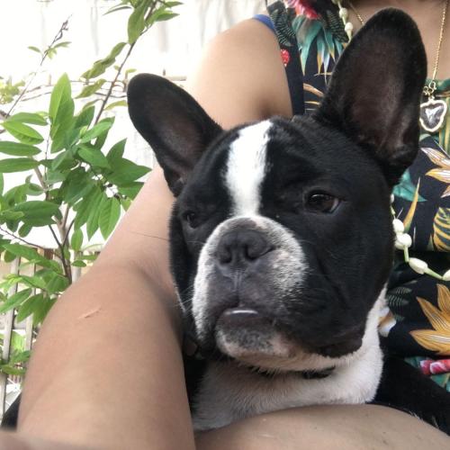 สมาชิกหมายเลข 3529634