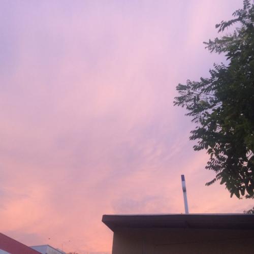 สมาชิกหมายเลข 4991349