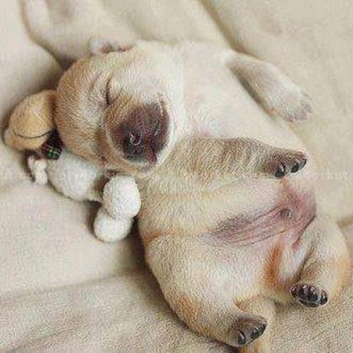 สมาชิกหมายเลข 5407660