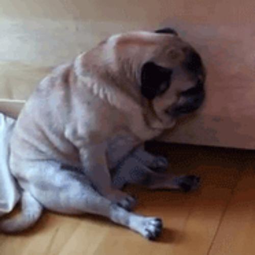 สมาชิกหมายเลข 5410063