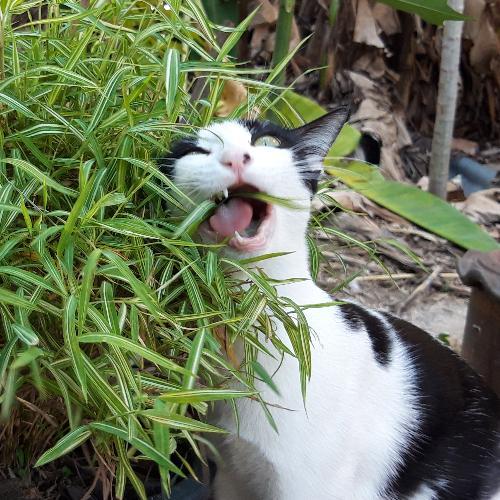 สมาชิกหมายเลข 3212878