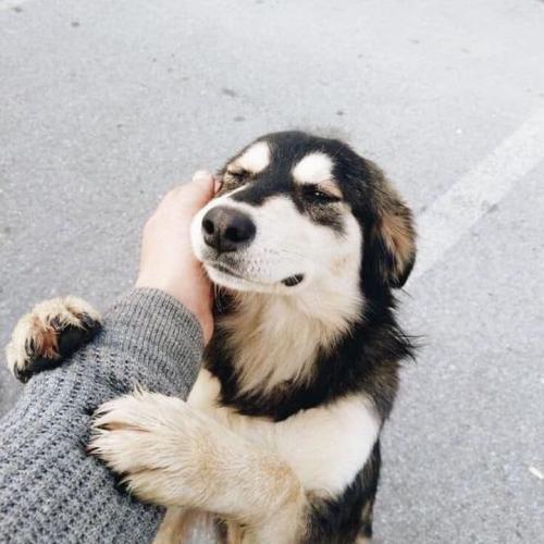 สมาชิกหมายเลข 3634278