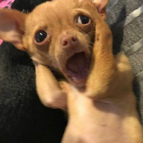 สมาชิกหมายเลข 5828085