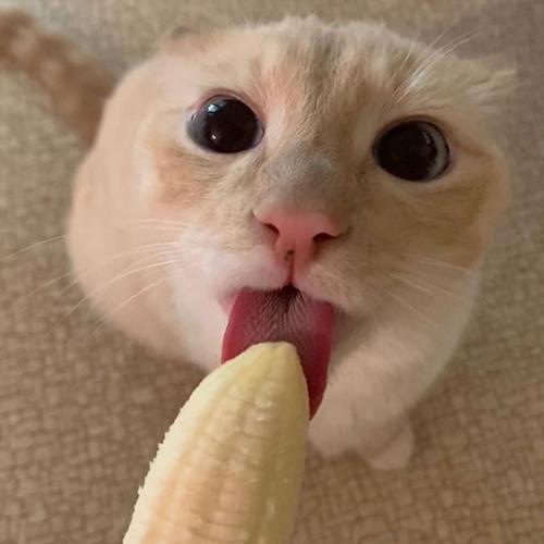 สมาชิกหมายเลข 5918357