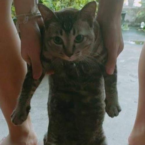 สมาชิกหมายเลข 6519558