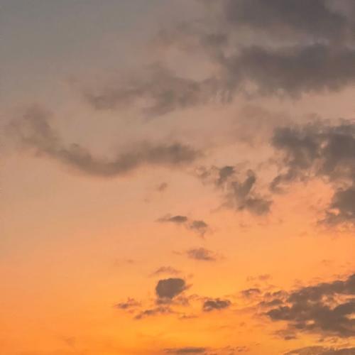 สมาชิกหมายเลข 4170251