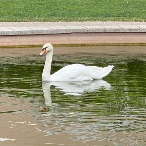 สมาชิกหมายเลข 4206385