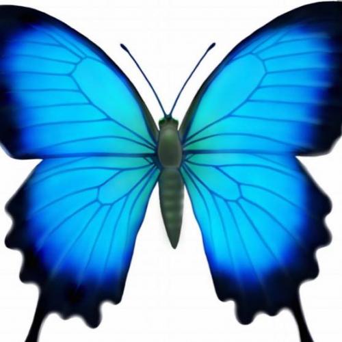 สมาชิกหมายเลข 6157391